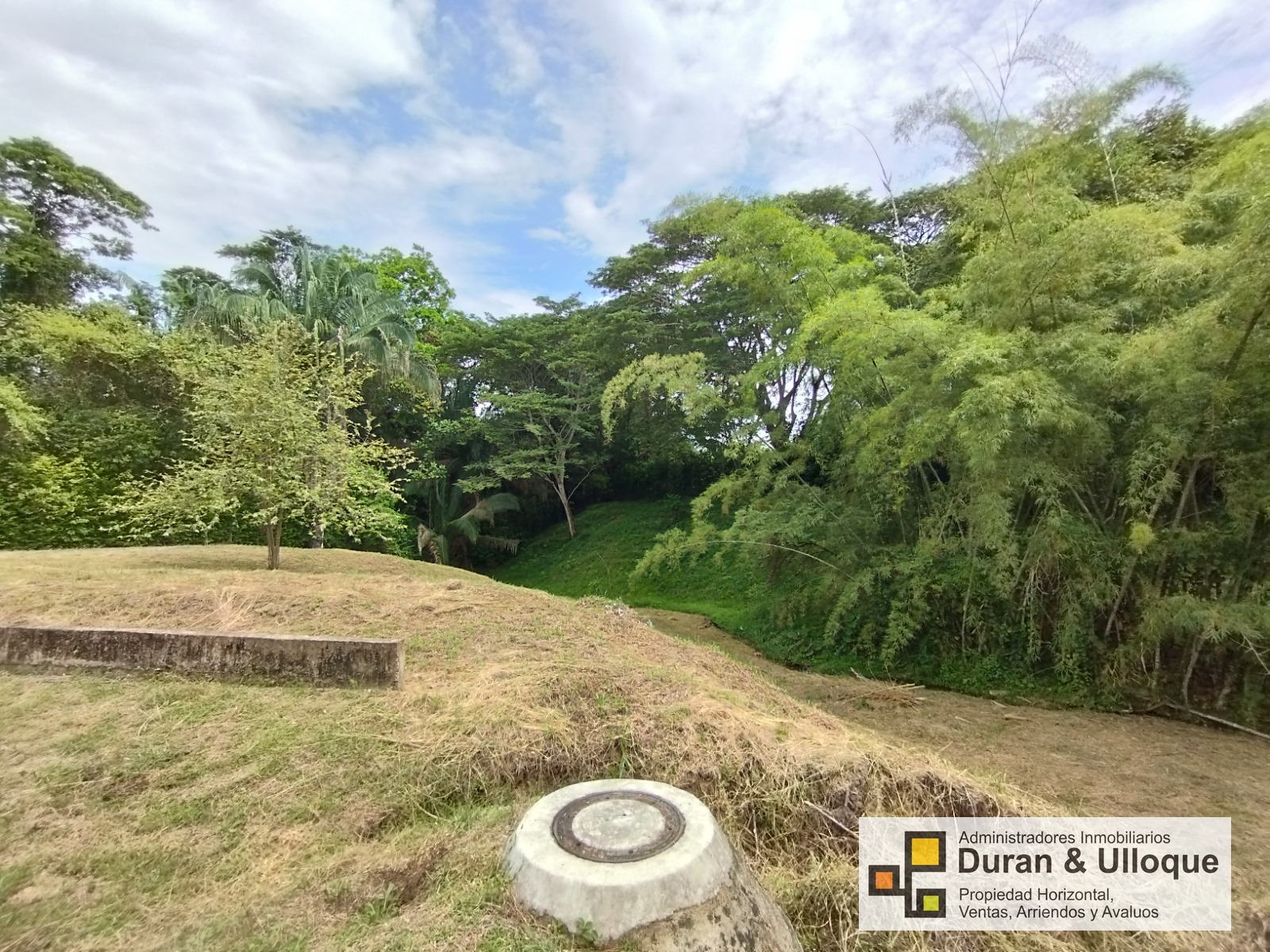 92eea4e7-2753-4700-add0-bd18384e958c