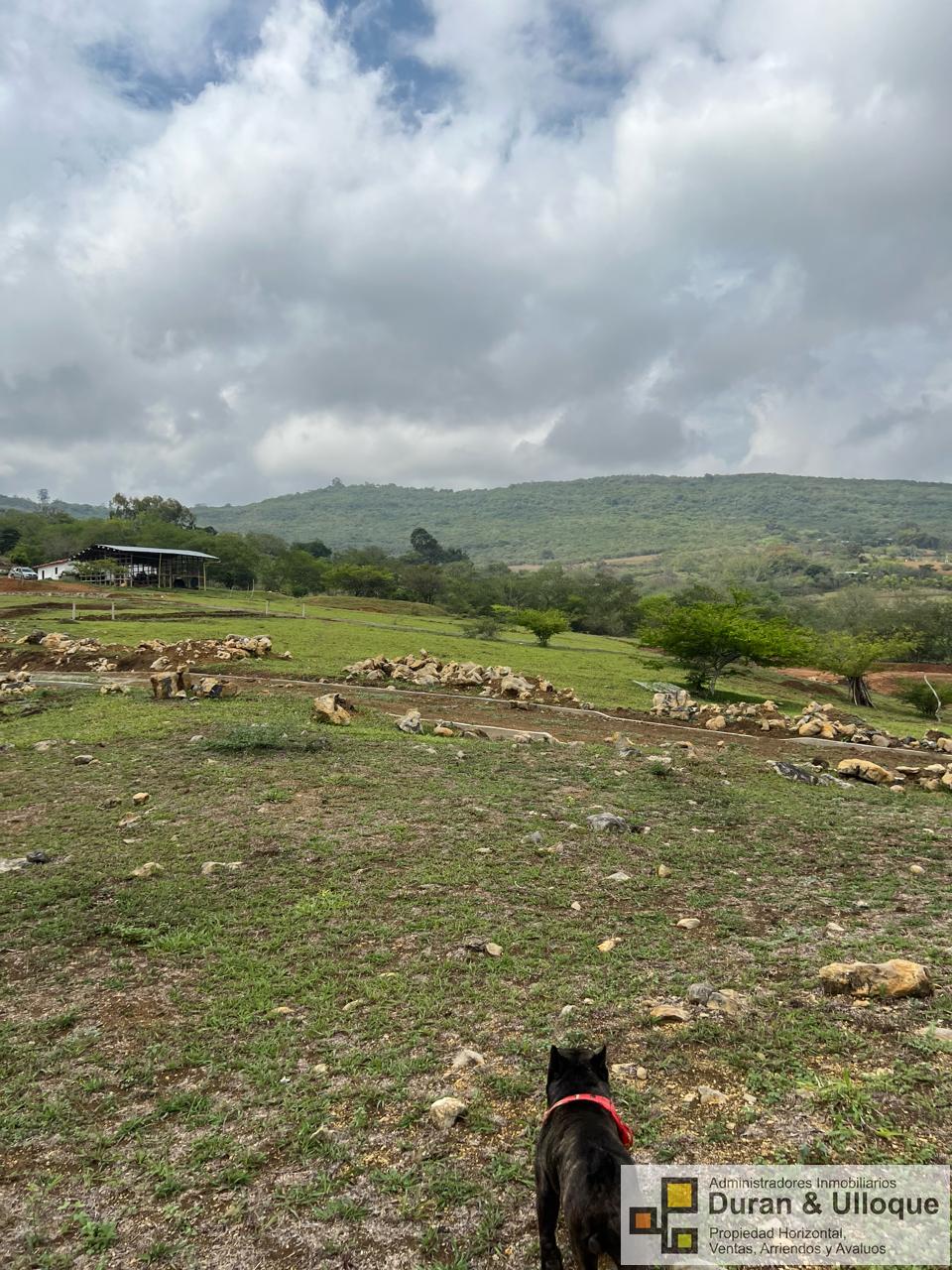 WhatsApp Image 2024-04-05 at 9.18.53 PM (6)