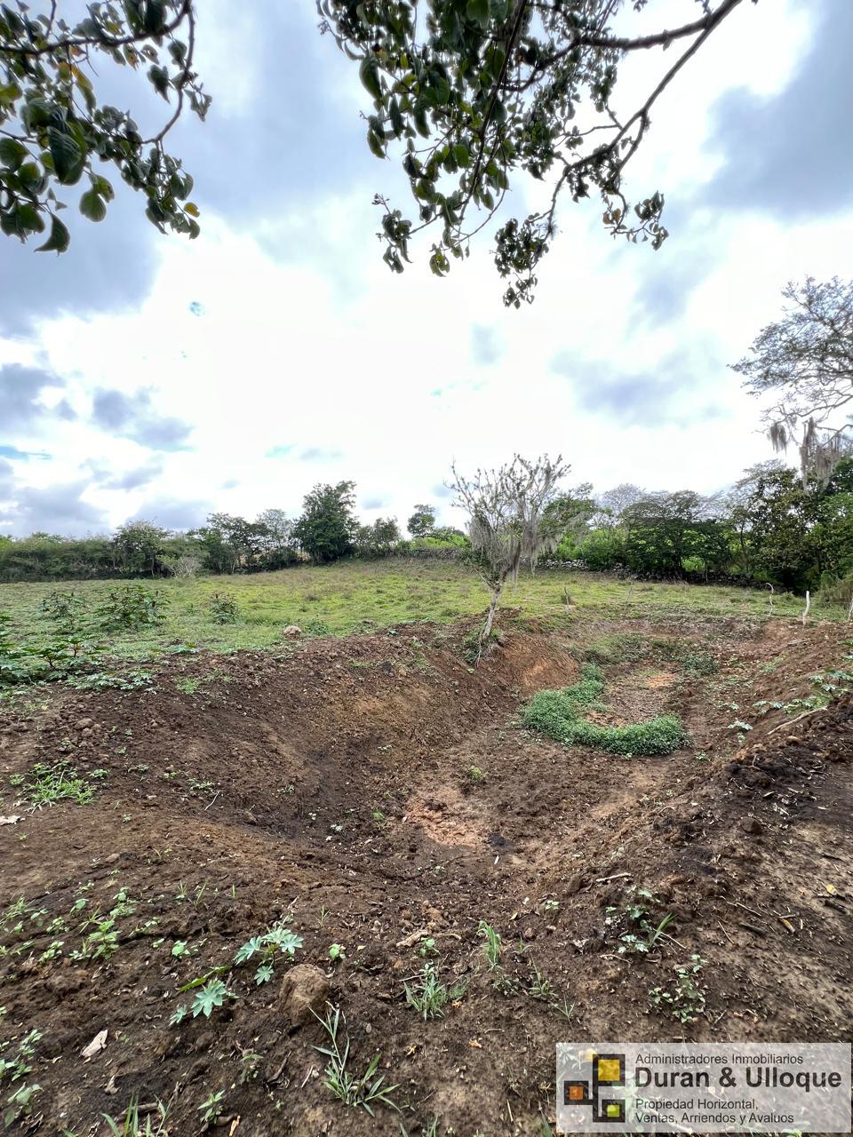 WhatsApp Image 2024-04-24 at 8.11.22 PM (3)