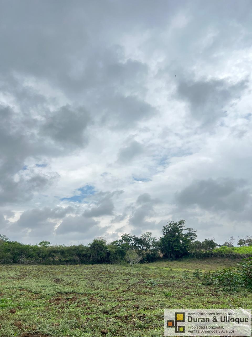 WhatsApp Image 2024-04-24 at 8.11.22 PM (4)