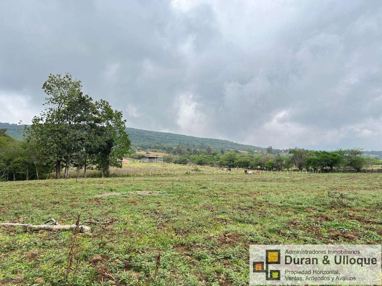 WhatsApp Image 2024-04-24 at 8.16.24 PM (1)