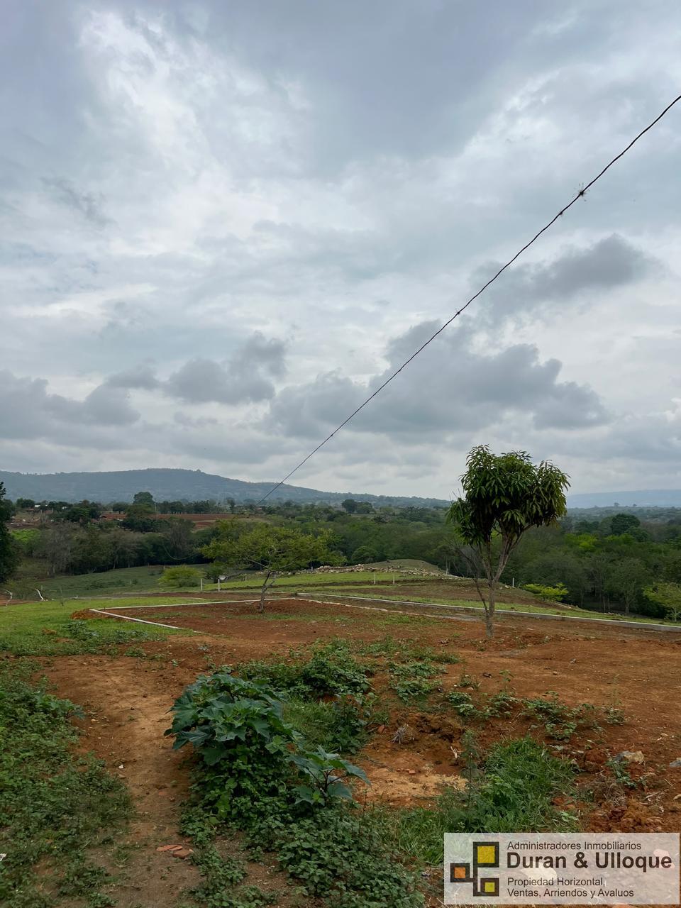 WhatsApp Image 2024-04-24 at 8.16.24 PM (3)