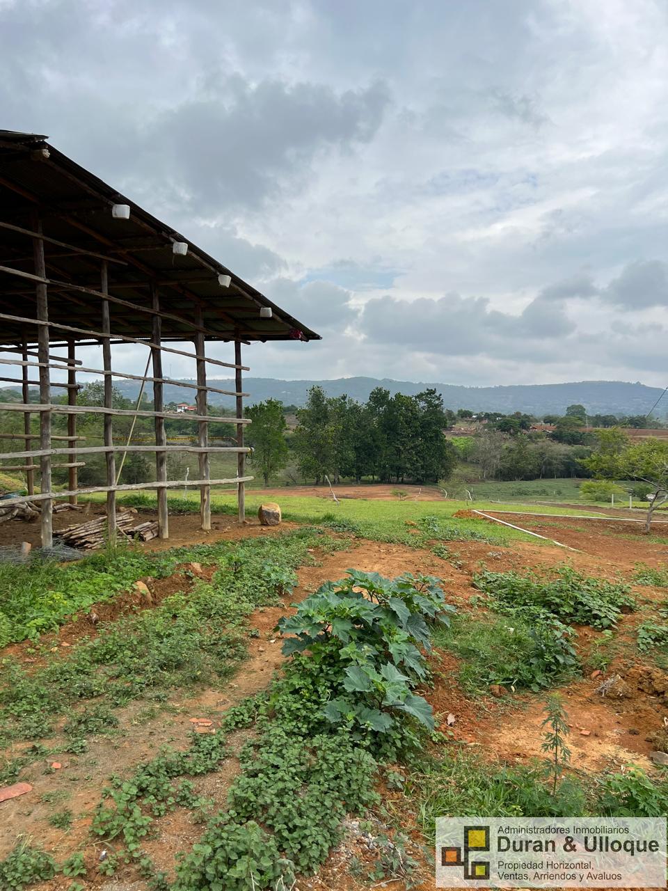 WhatsApp Image 2024-04-24 at 8.16.24 PM (4)