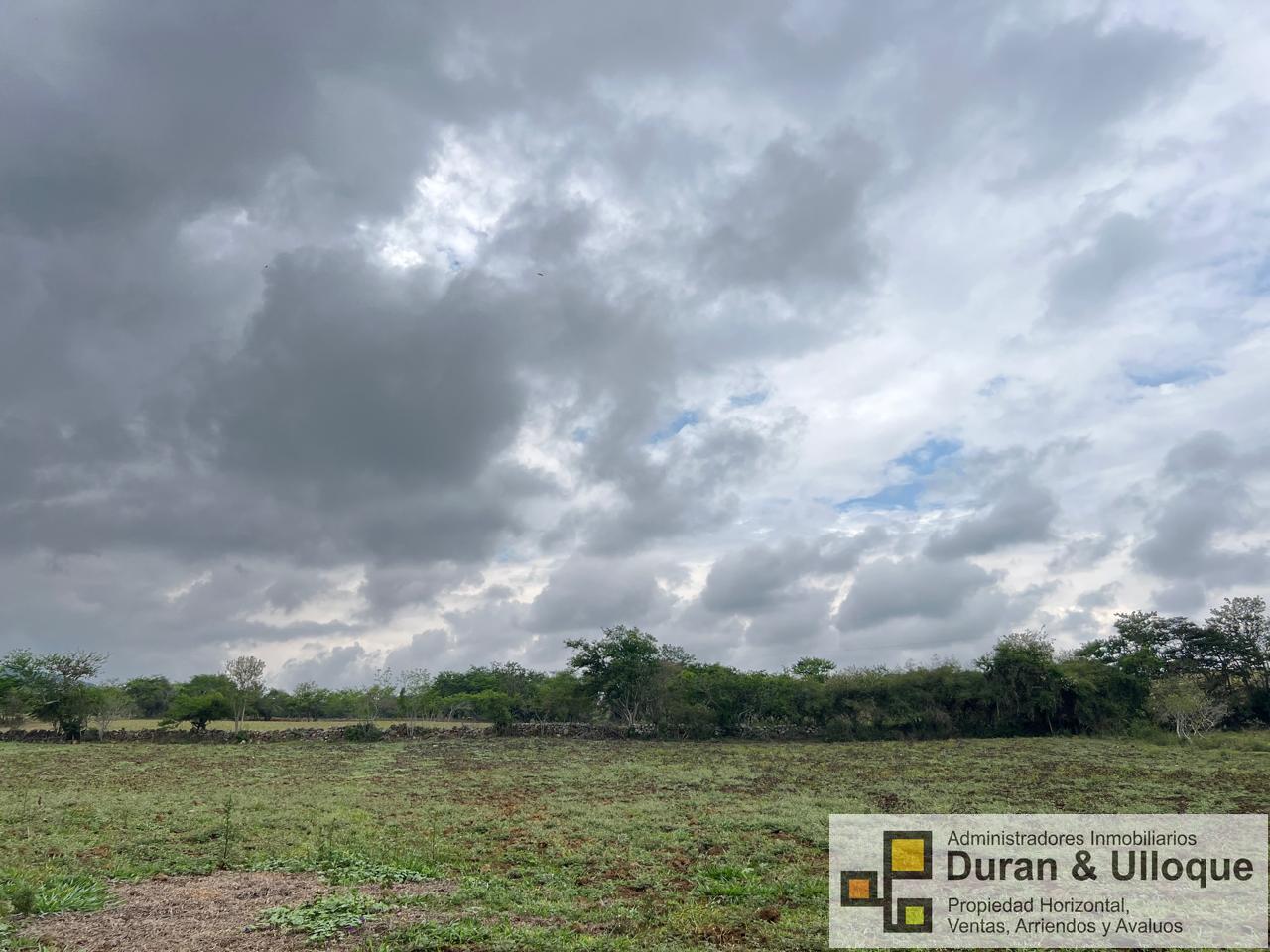 WhatsApp Image 2024-04-24 at 8.16.24 PM